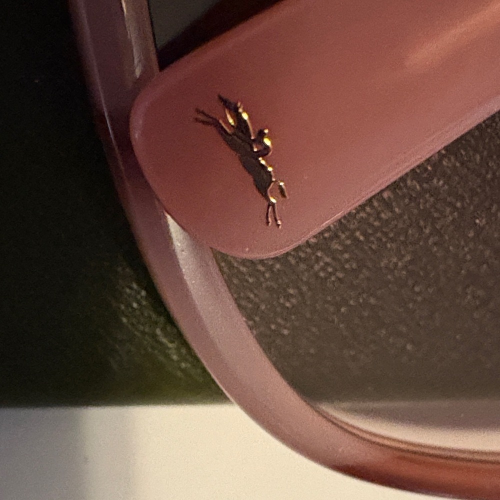 Longchamp Blush Sunglasses- Brand New! 🕶️☀️ - Picture 4 of 11